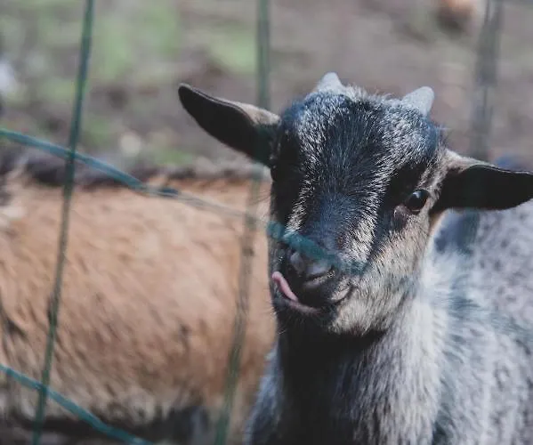 Jolysable Bed and breakfast Pons