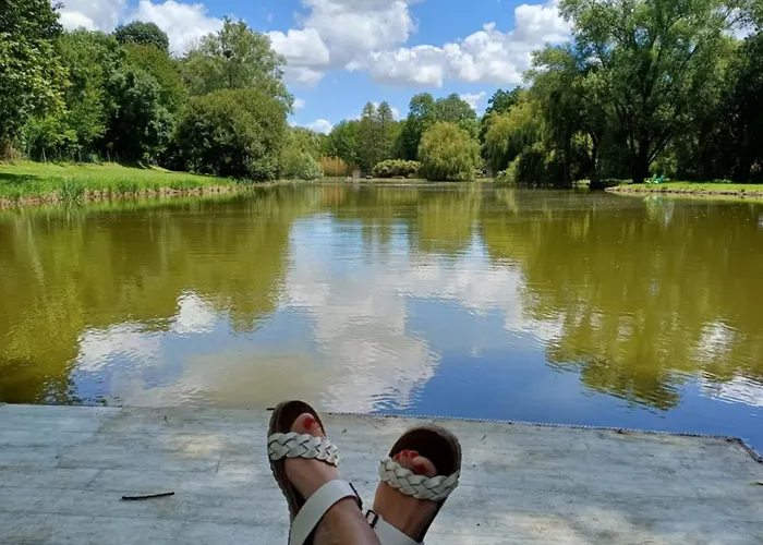 Alojamento de Acomodação e Pequeno-almoço Jolysable