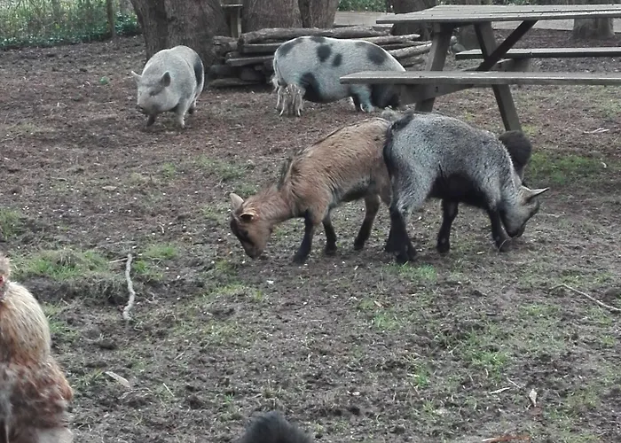 Jolysable Bed and breakfast