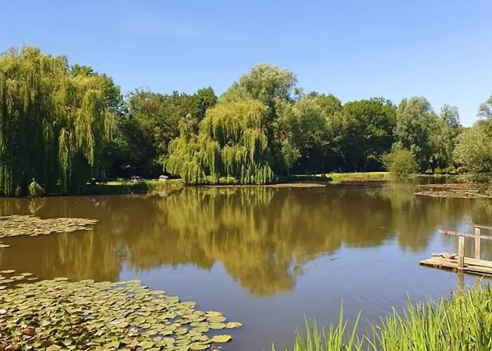 Bed and breakfast Jolysable Pons